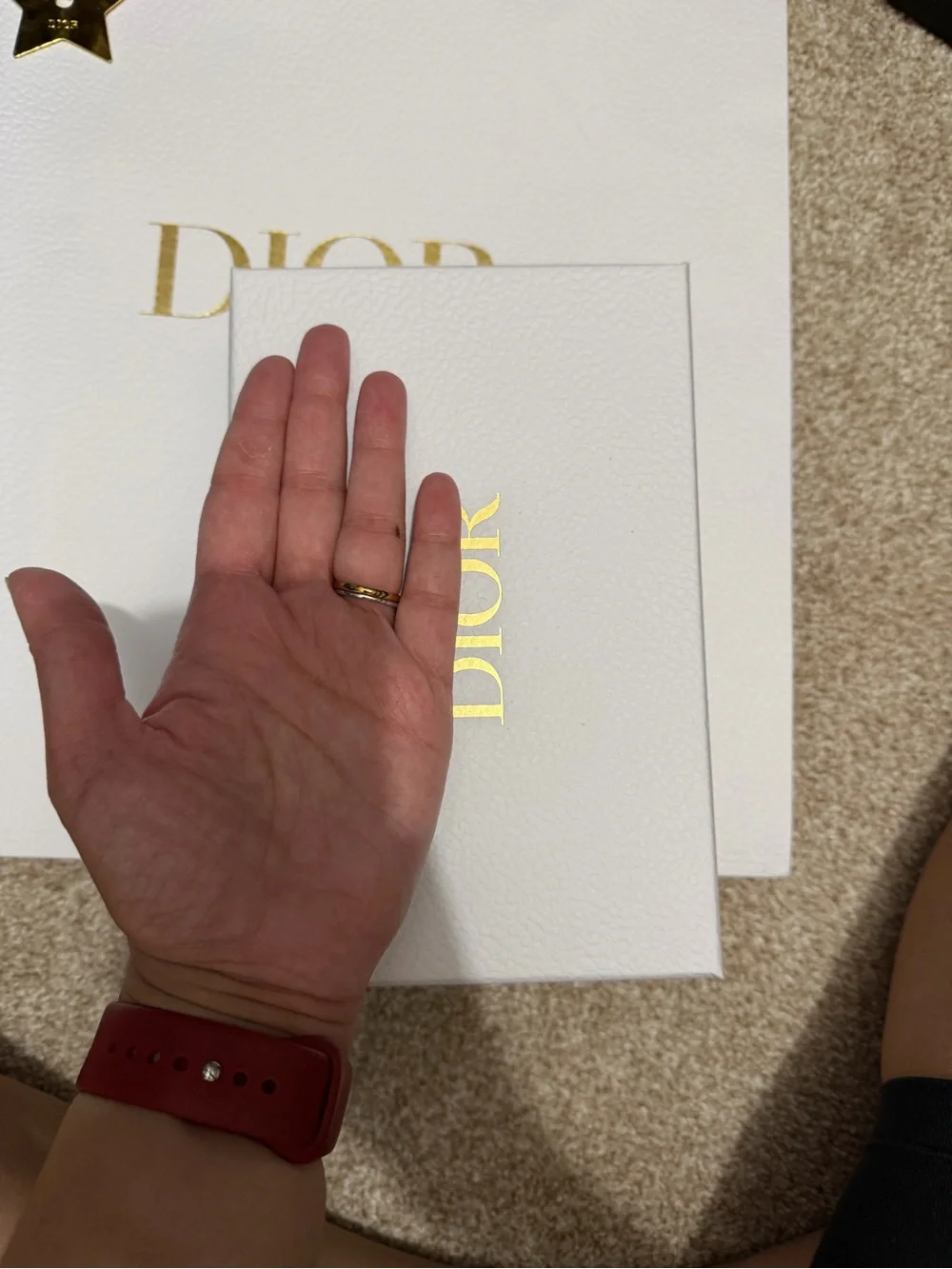 Dior White Gift Bag and Box with Gold Logo